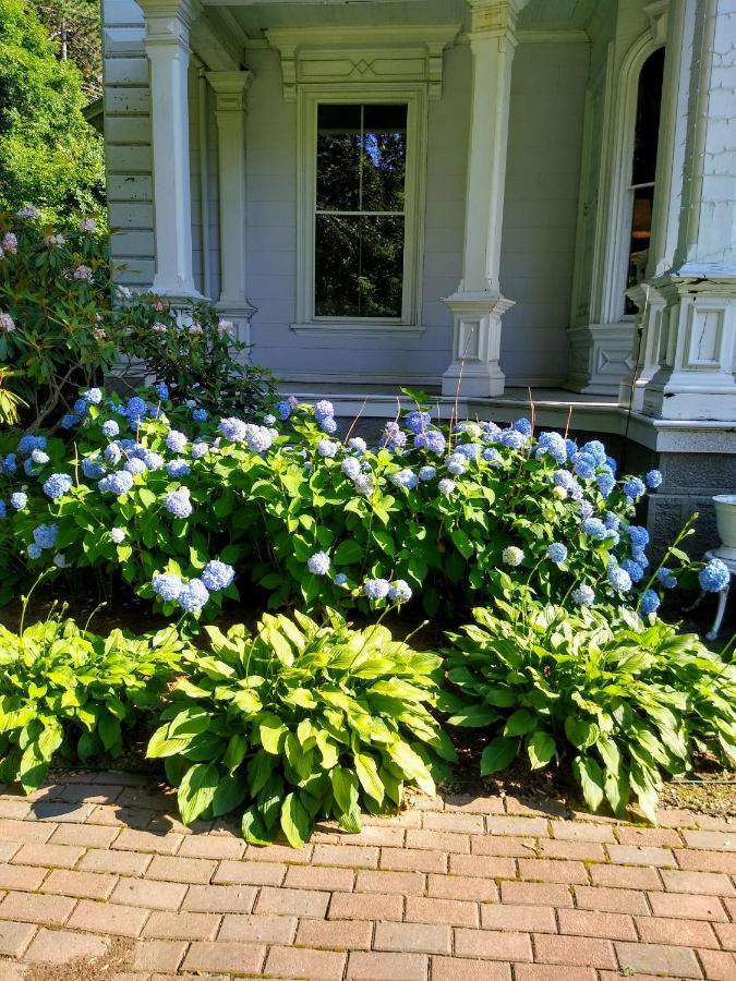 Proctor Mansion Inn Wrentham Kültér fotó